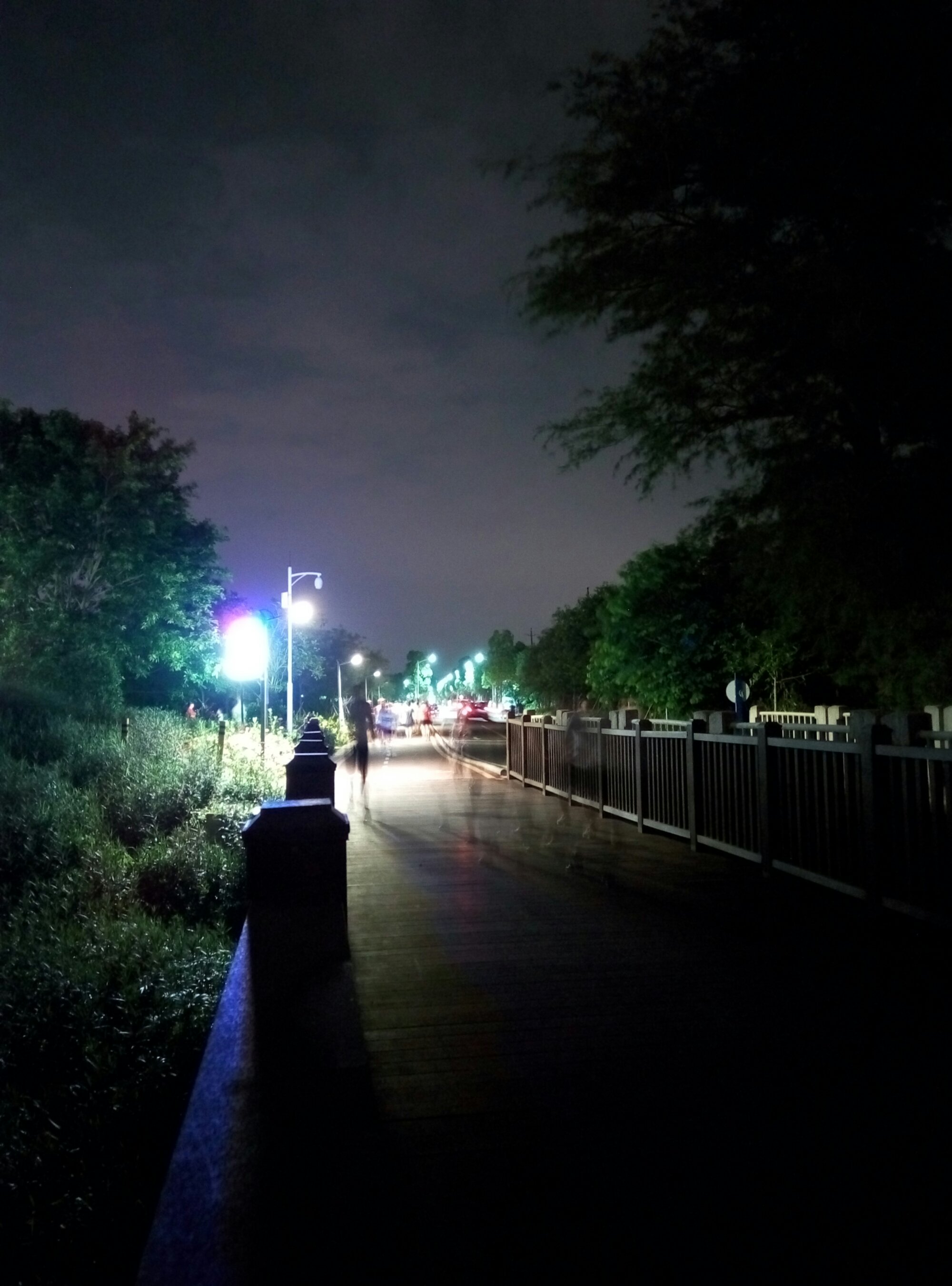 wpid-p50706-202200.jpg