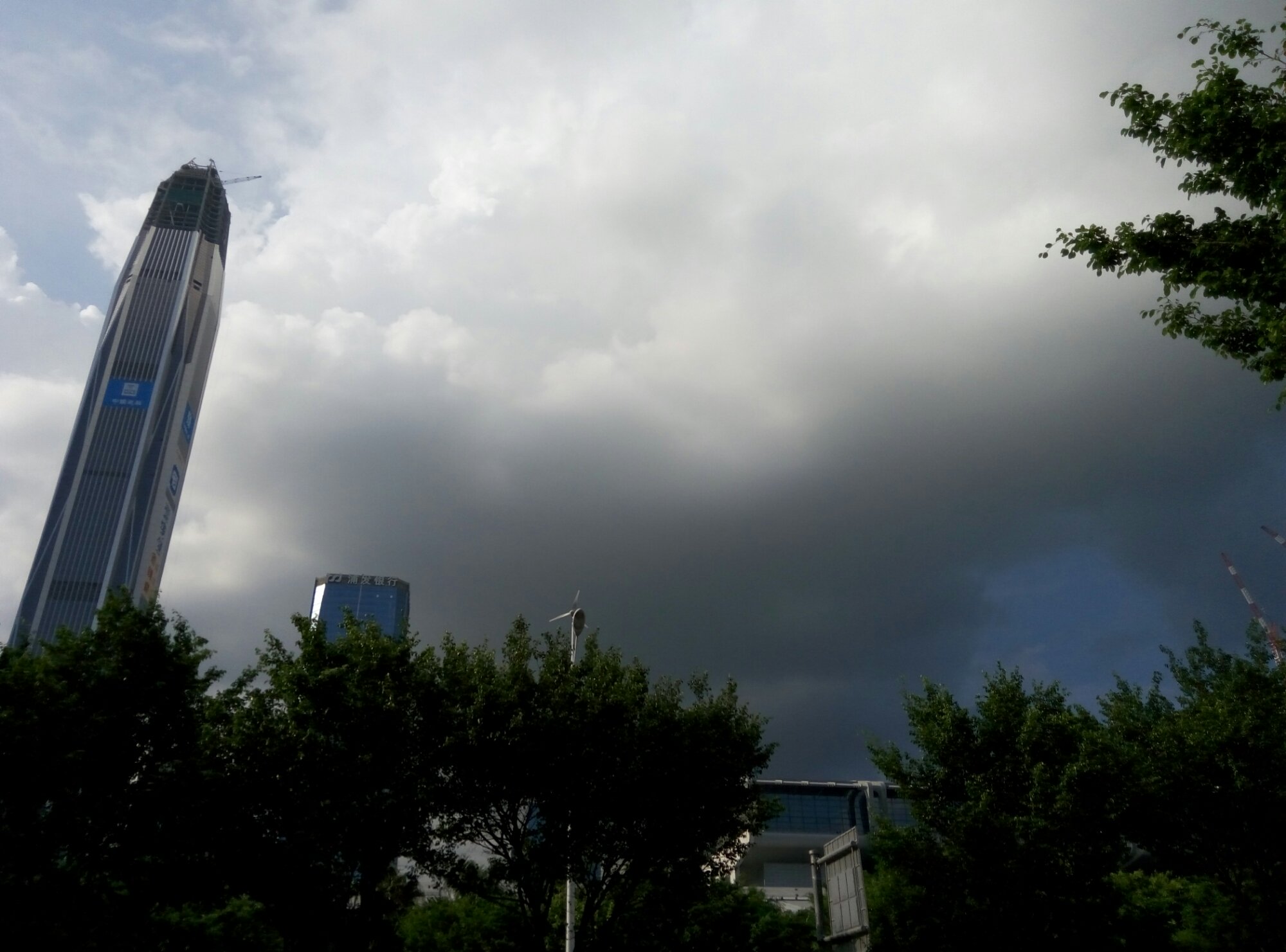 wpid-p50731-170743.jpg