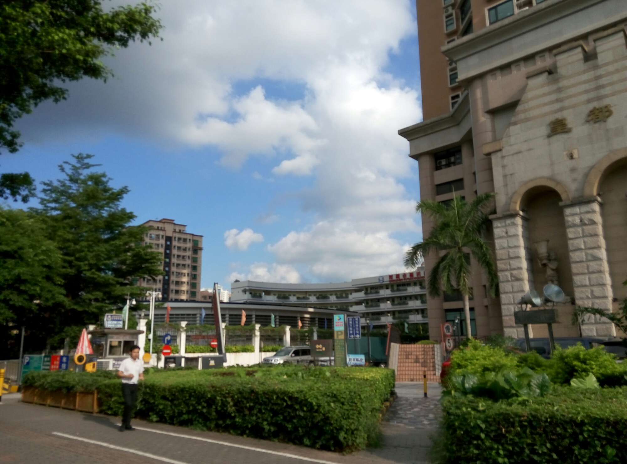 wpid-p50731-170802.jpg